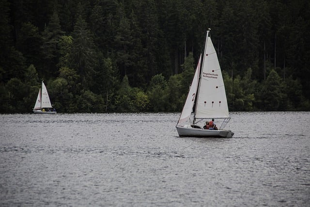 La voile