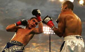 l'histoire de la boxe