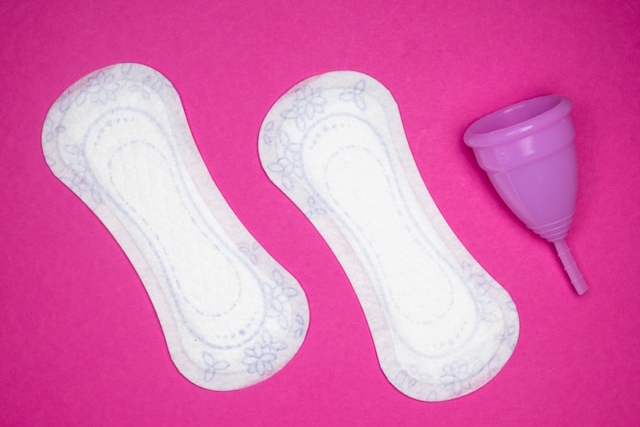 Disque menstruel