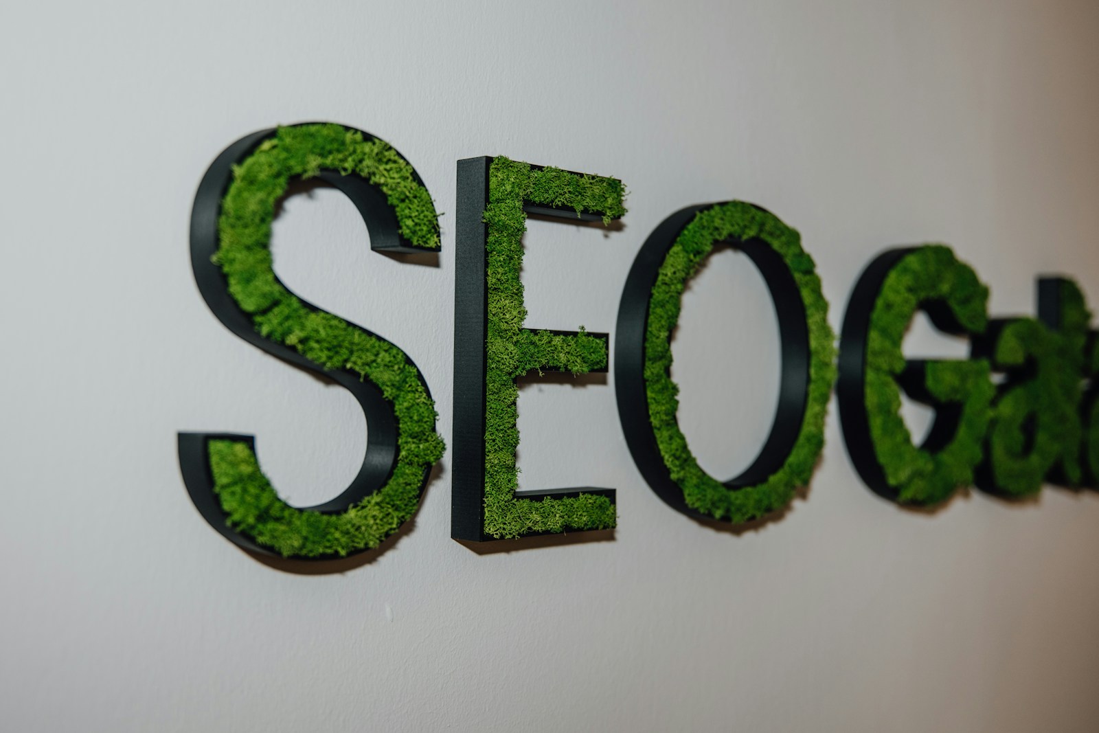 Marketing SEO