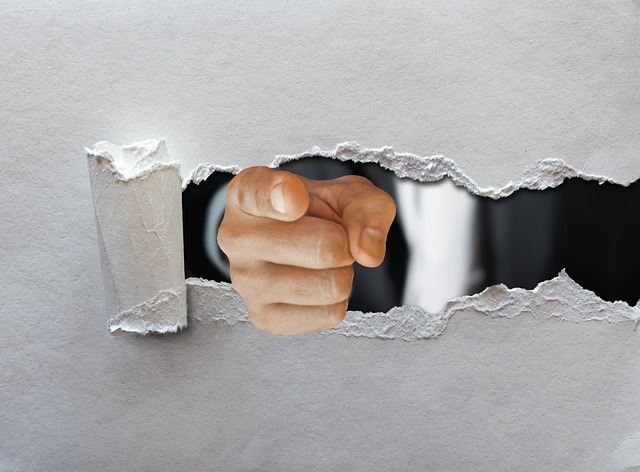 Maître de cérémonie ou animateur micro