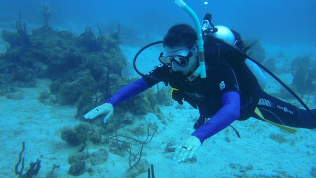 plongée sous-marine